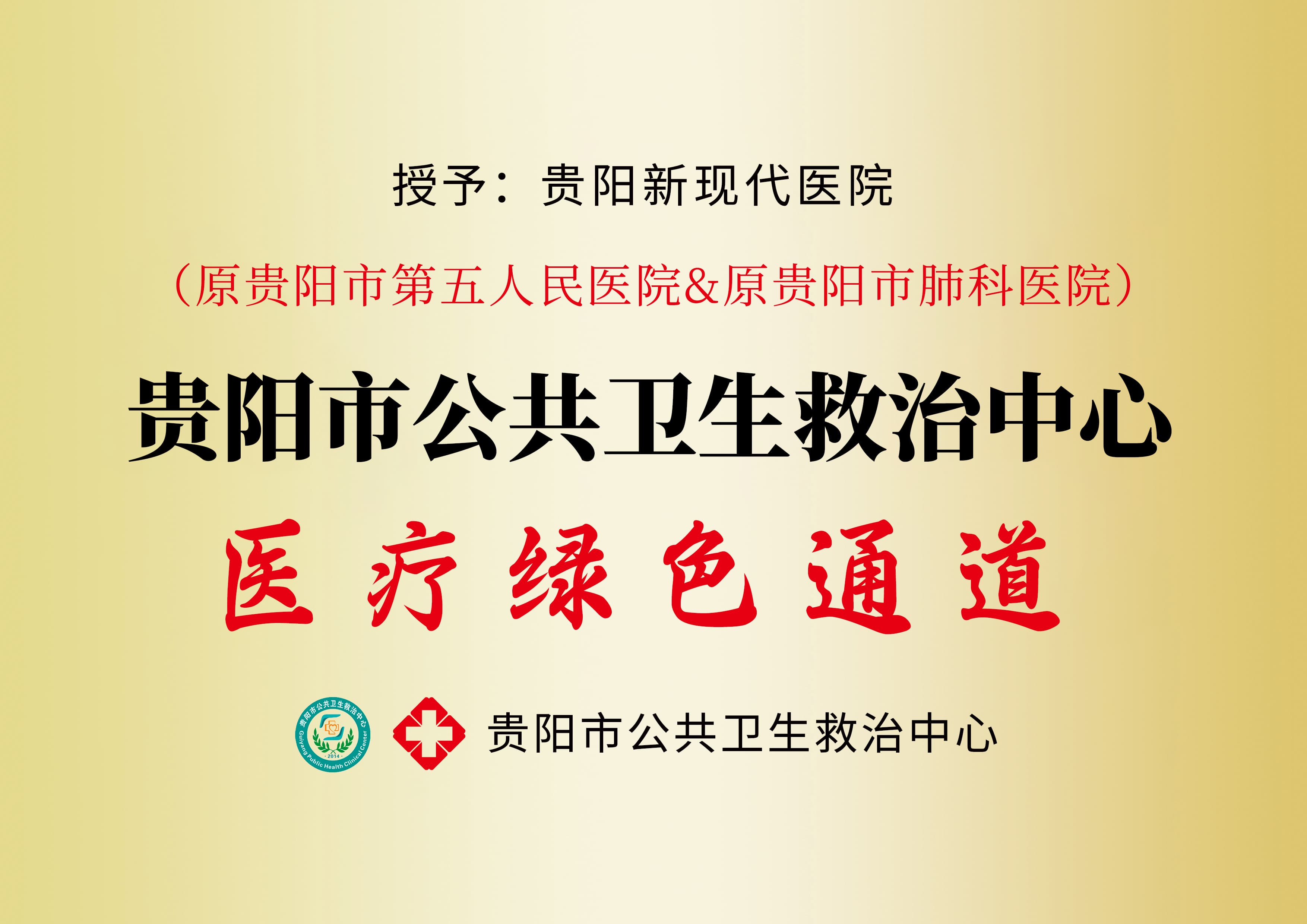 贵阳市公共卫生救治中心医疗绿色通道资料图