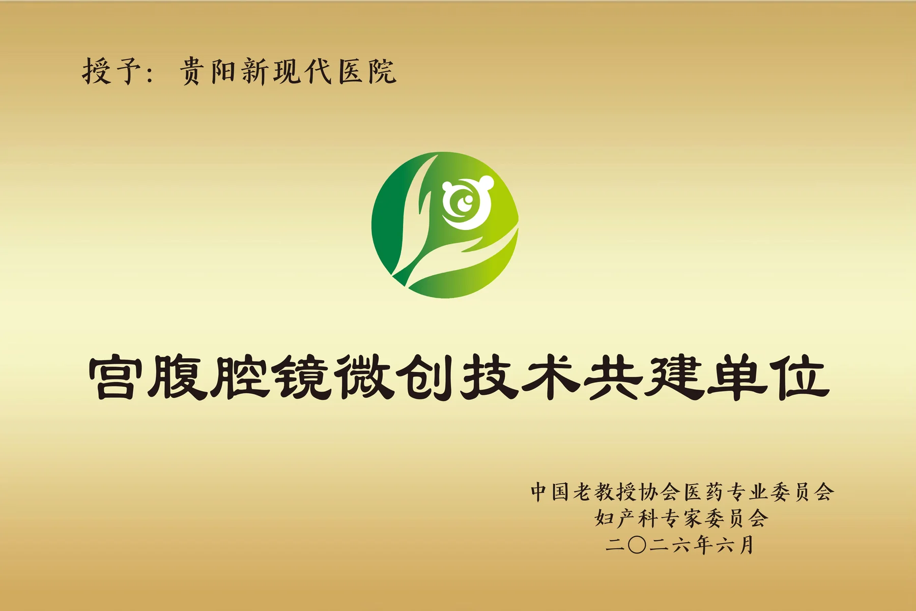 宫腹腔镜微创技术共建单位资料图